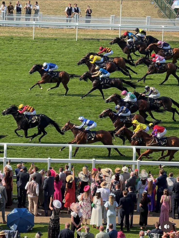 Dubai World Cup