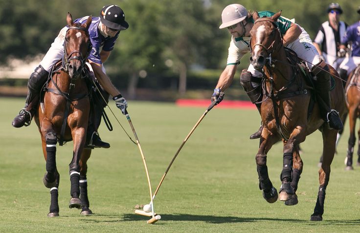 Argentine Open Polo
